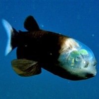 野章さんのプロフィール画像