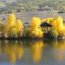 Gerry Wilson - @GerryWilson1010 - Twitter