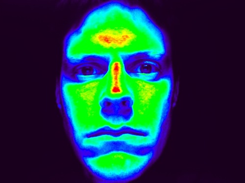 brahmwindeler's profile picture. I gotta rock. Over at @brahmwindeler@mstdn.social