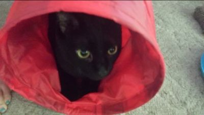 DebbieZanaty's profile picture. 