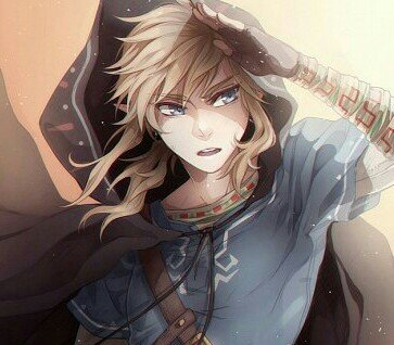 HyliasLiberator's profile picture. ''You be the hero, or you die trying.''                               #LoZRP #Multiverse