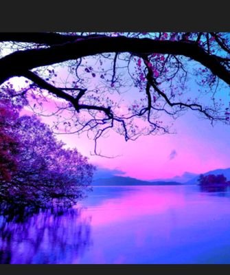 mosa1221's profile picture. 