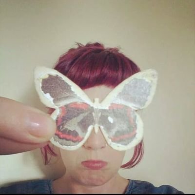 making things, drawing things, screen printing, cats, growing things, dark humour, punk music.