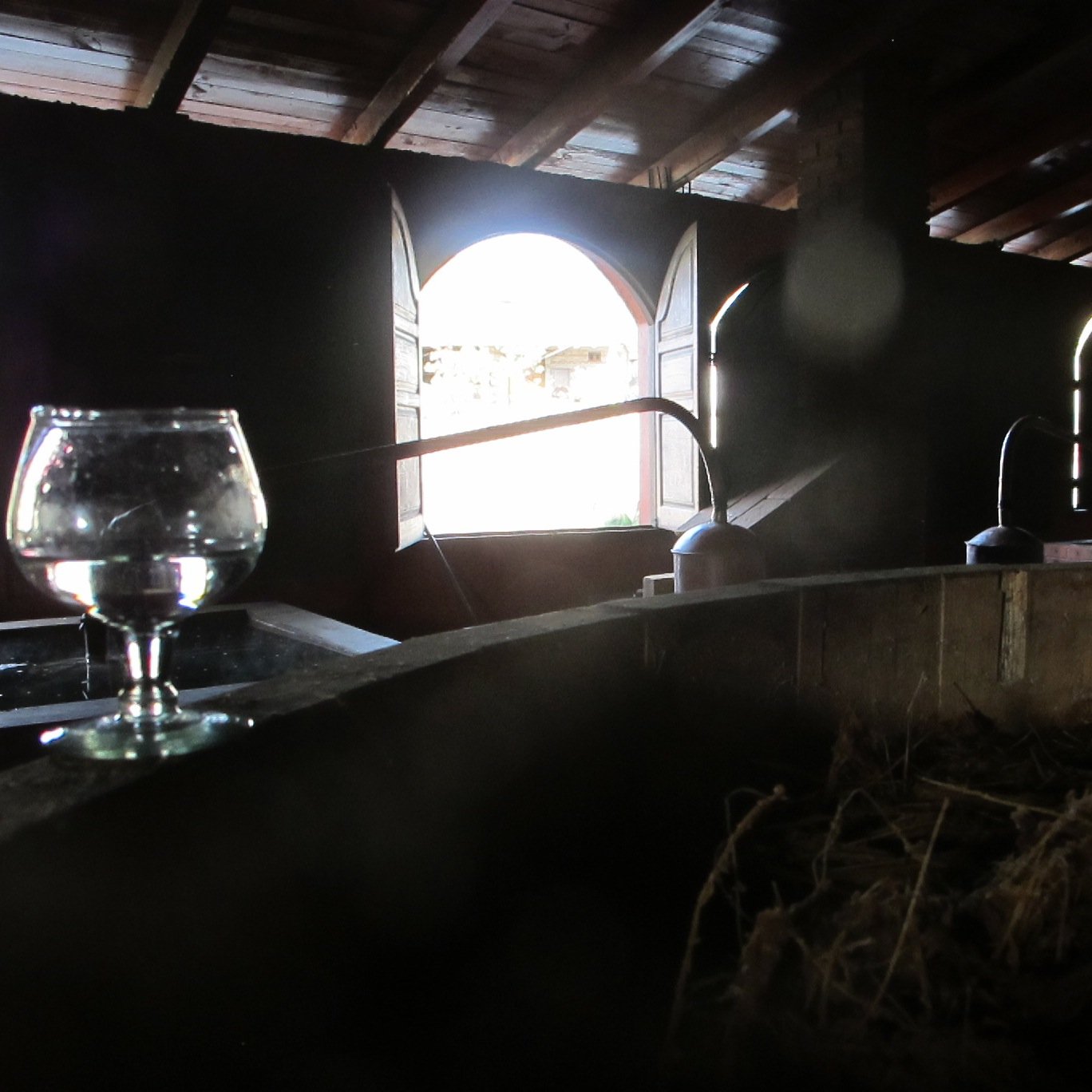 stephenisilegal's profile picture. 