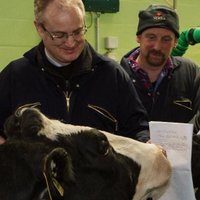 Chris Walkland (@chriswalkland) 's Twitter Profile