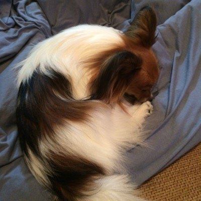 この垢乗っ取られたかも
変なRTばっかされてる