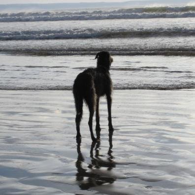 Completely and utterly lost in the waves. #wavegazing Join us! (...And don't forget to say 'Hi' for a follow back)