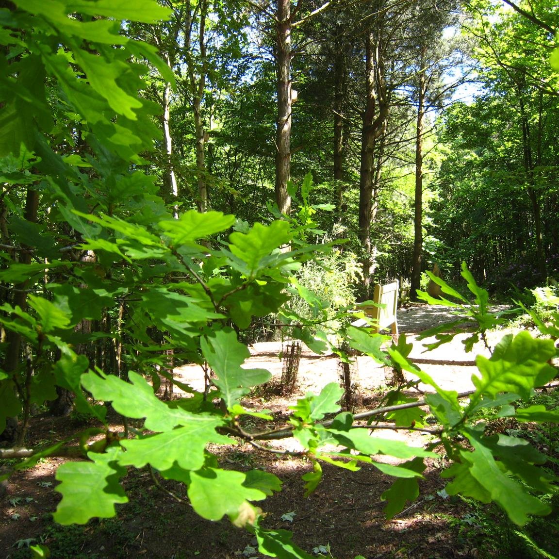 Marketing and Community Liaison for GreenAcres Woodland Burials - Colney.
