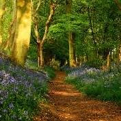 janarichards35's profile picture. Look deep into nature, and then you will understand everything better.
