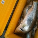 John Arrigo - @arrigo_john - Twitter