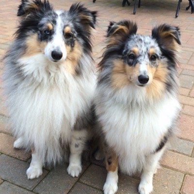 Xenia67's profile picture. 