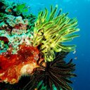 こりえ - @eri920chi - Twitter