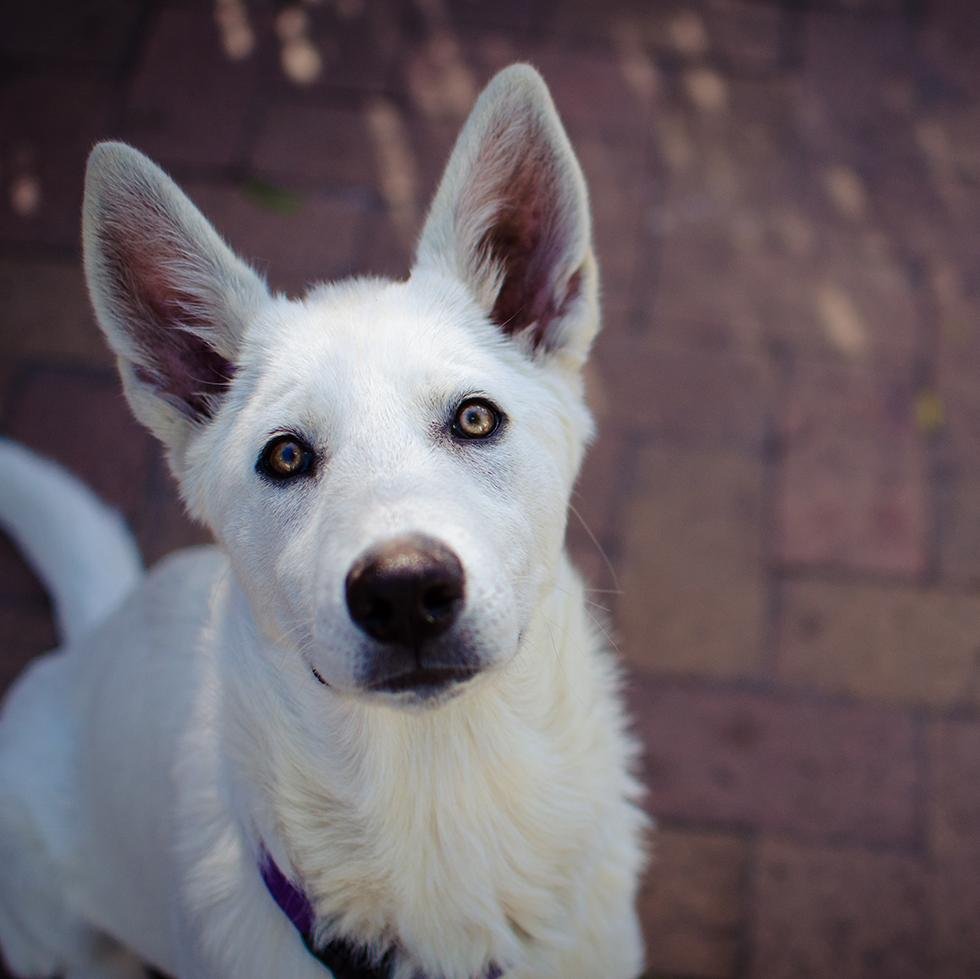 Beanct's profile picture. 