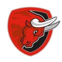 1. Salzburger American Football Club Salzburg Bulls // Gegründet 1982