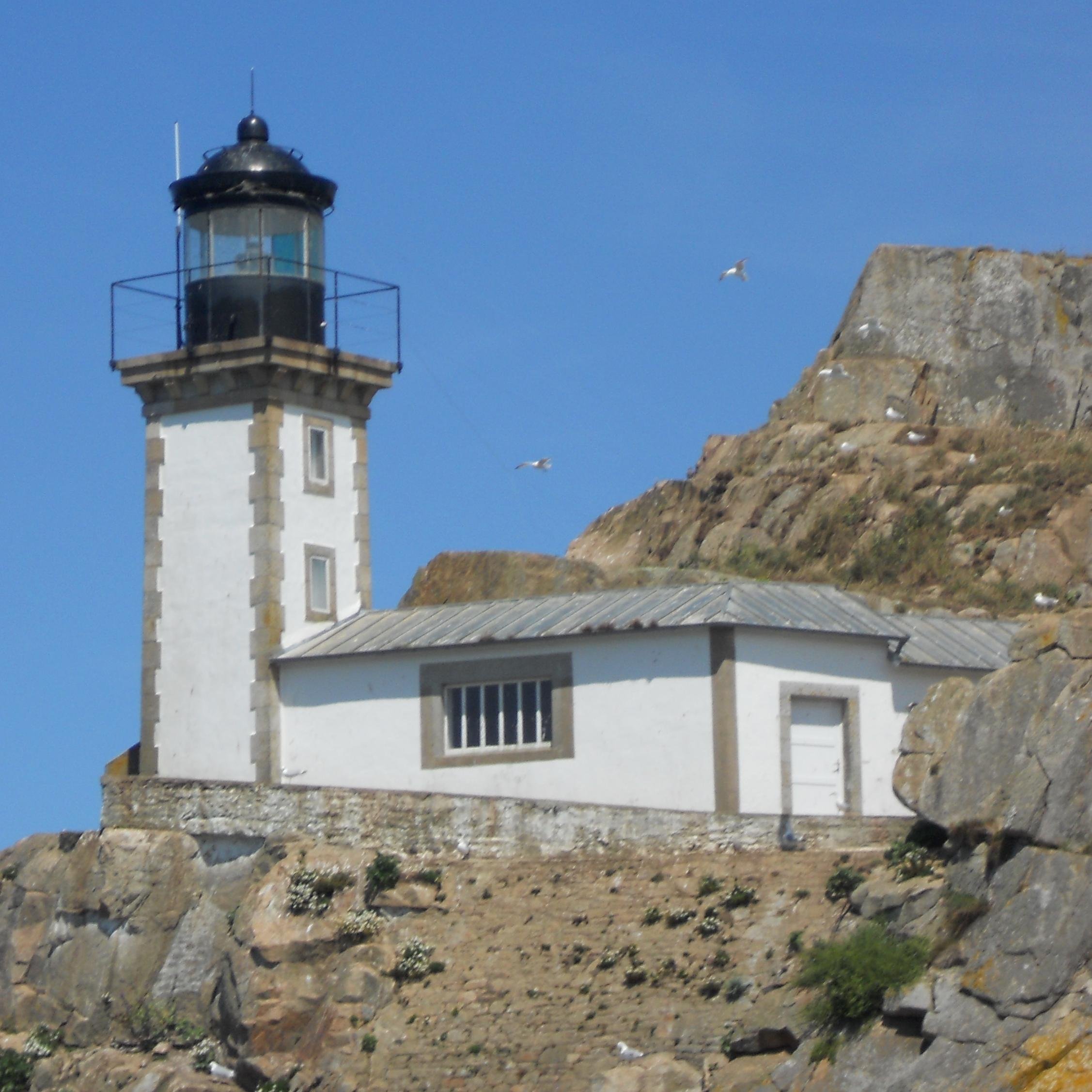 alexisporquet's profile picture. 