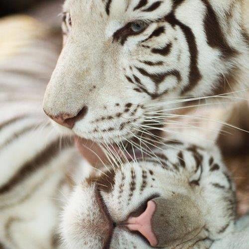 kairabedra's profile picture. Administradora de Consorcios, mama de un bellísimo hijo, feliz......