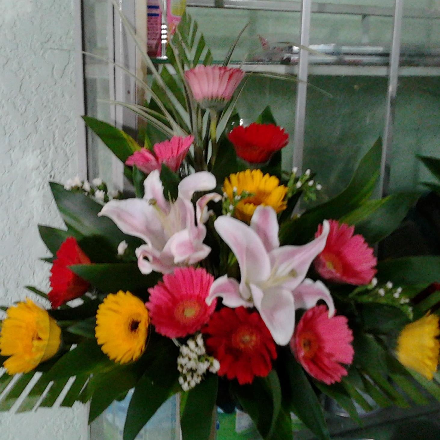 danglam36's profile picture. 