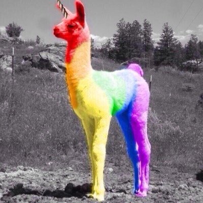 oSwazzy's profile picture. 14 TS/Feeder GT-Astro Swazzy