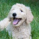 Sandy Smith - @SanSmith2977 - Twitter