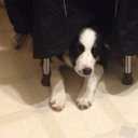 Roxanne Knapp - @FarmsKnapp - Twitter