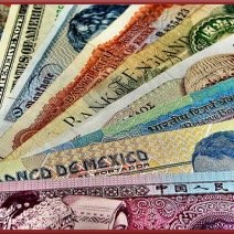 hukugyo0606's profile picture. 