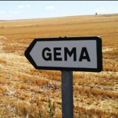Gemadelvino's profile picture. Un pequeño pueblo en la tierra del vino, en la provincia de Zamora.