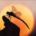 Wendell Long - @Rolstoney - Twitter