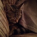 Jack Meadows - @jackmeadows16 - Twitter