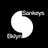sankeysnyc's profile image