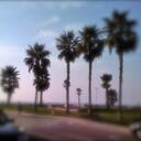 Tommy Dews - @TommyDewsCA - Twitter