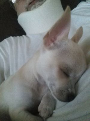 Graniteshadow's profile picture. Transpo