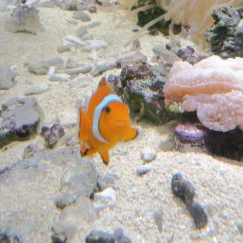 誠司さんのプロフィール画像