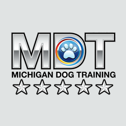 Michigan Dog Training and behaviorist Michael Burkey offer dog behavior solutions with board and train, dog school, group classes and private lessons.