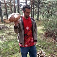 Dani Montia (@danimontia) 's Twitter Profile