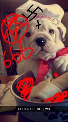 cute animals 666
