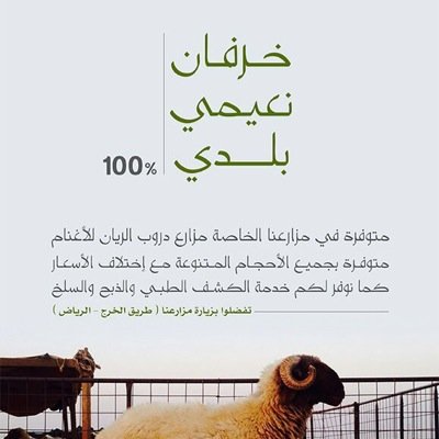 DrobAl_rian's profile picture. مزارع دروب الريان للأغنام خرفان نعيمي بلدي ويوجد خدمة التوصيل مع السلخ والكشف الطبي مجاناً 0509338707