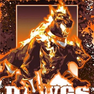 BROWNS FAN , SEASON TICKET HOLDER SINCE 1986