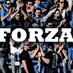 forzanovara.net (@forzanovara_net) Twitter profile photo