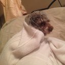 Elsa Duncan - @duncan_elsa - Twitter