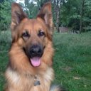 Siobhan Fox - @Vorny13 - Twitter