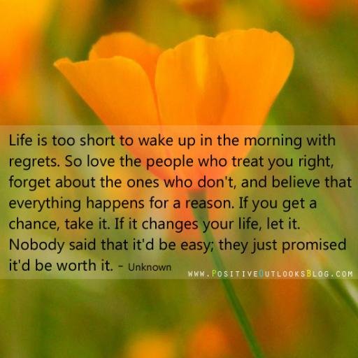 benejose7's profile picture. 