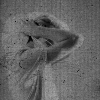 AutonWolf's profile picture. 