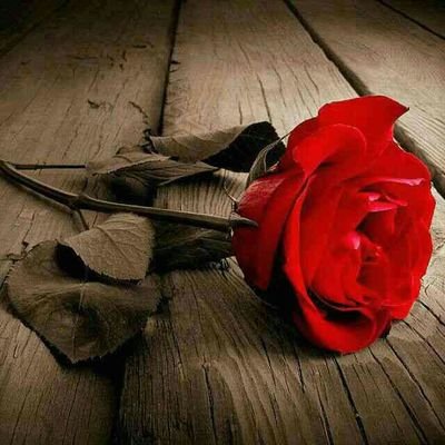 هذاالوقت وان طال سيمضي على خير باذن ربي🌹