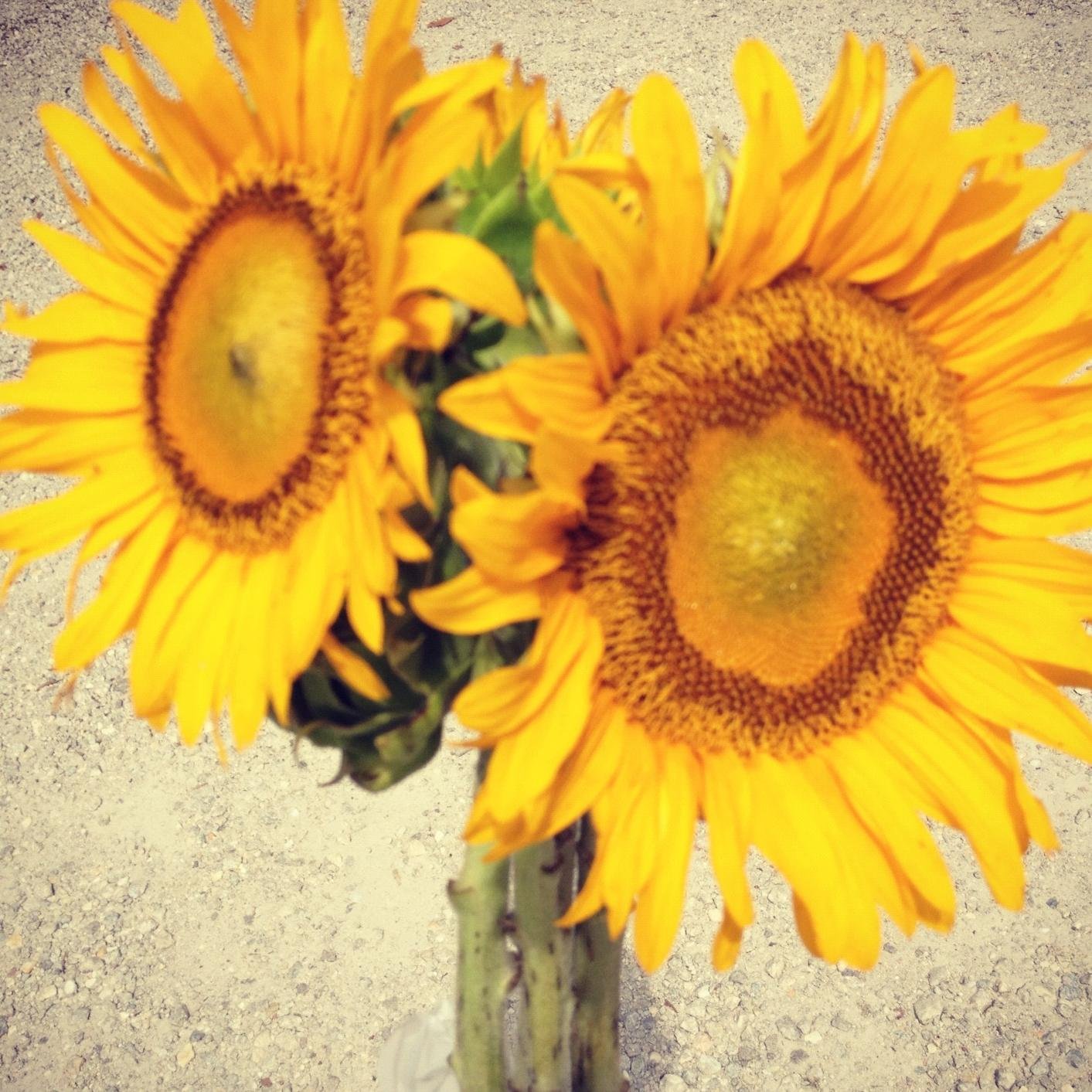 CIsaacson0's profile picture. 