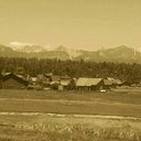 Tom HOCTOR - @hoctor_tom - Twitter