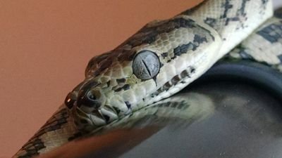 xXartilleryXx's profile picture. 