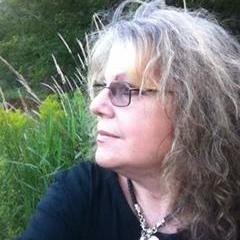 Horse Advocate - Working to save America's horses, wild and domestic, to preserve wild herds and end horse slaughter.