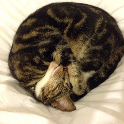 sandyopal65 Profile Picture