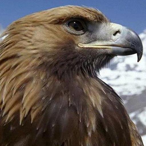 Revistam-se da nova natureza e sejam renovados à medida que aprendem a conhecer seu Criador e se tornam semelhantes a ele.
Colossenses 3:10 TOTALMENTE LIBERTO