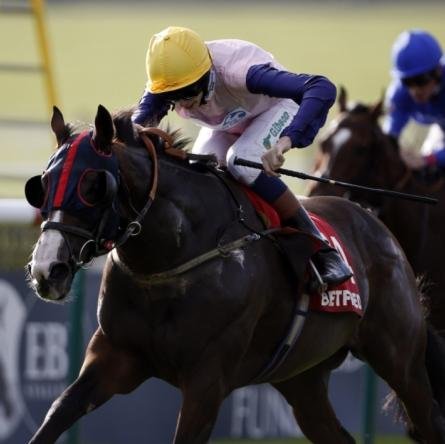 Why not try and share our success with others! Selected tips on Horse Racing